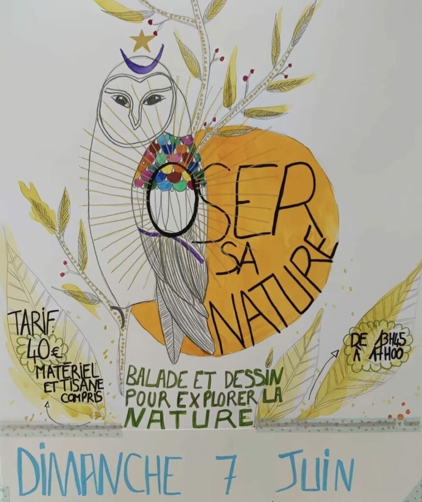 affiche sortie plante nature et dessin création planche botanique